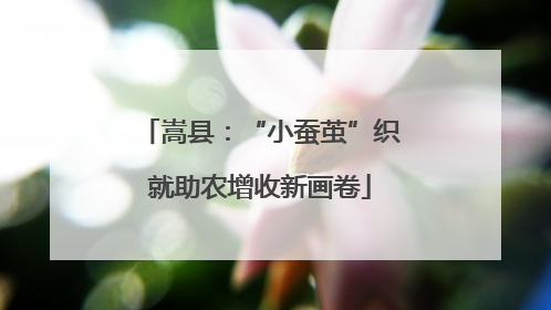嵩县：“小蚕茧”织就助农增收新画卷