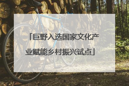 巨野入选国家文化产业赋能乡村振兴试点