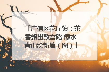 广信区花厅镇：茶香飘出致富路 绿水青山绘新篇（图）