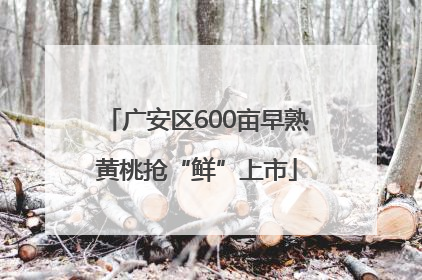 广安区600亩早熟黄桃抢“鲜”上市