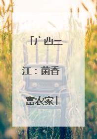 广西三江：菌香富农家