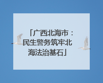 广西北海市：民生警务筑牢北海法治基石