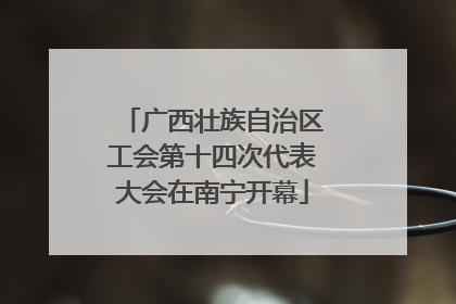 广西壮族自治区工会第十四次代表大会在南宁开幕