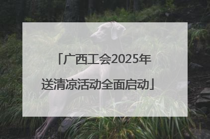 广西工会2025年送清凉活动全面启动