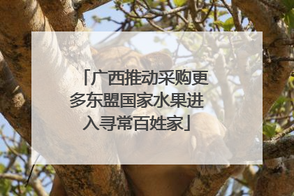 广西推动采购更多东盟国家水果进入寻常百姓家