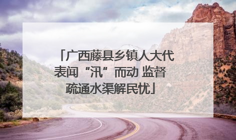 广西藤县乡镇人大代表闻“汛”而动 监督疏通水渠解民忧