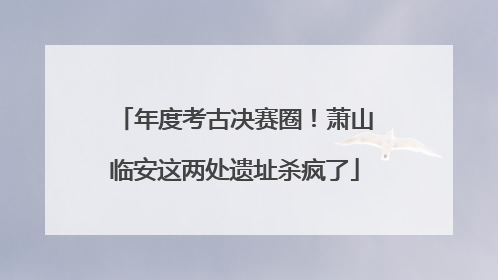 年度考古决赛圈！萧山临安这两处遗址杀疯了