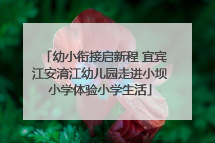 幼小衔接启新程 宜宾江安淯江幼儿园走进小坝小学体验小学生活