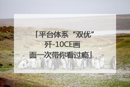平台体系“双优”  歼-10CE画面一次带你看过瘾