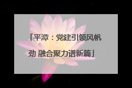 平潭：党建引领风帆劲 融合聚力谱新篇