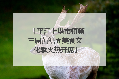 平江上塔市镇第三届黄鳝面美食文化季火热开席
