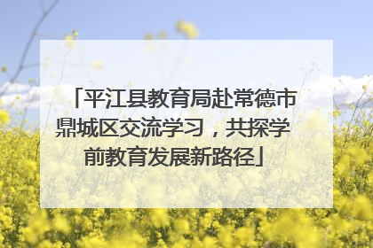 平江县教育局赴常德市鼎城区交流学习，共探学前教育发展新路径
