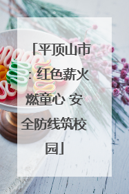 平顶山市：红色薪火燃童心 安全防线筑校园