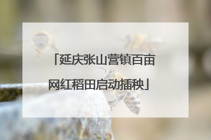 延庆张山营镇百亩网红稻田启动插秧