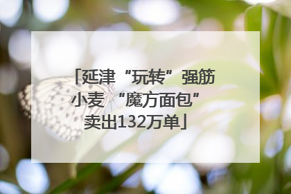 延津“玩转”强筋小麦 “魔方面包”卖出132万单