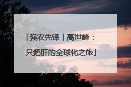 强农先锋丨高世峰：一只鹅肝的全球化之旅