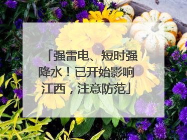 强雷电、短时强降水！已开始影响江西，注意防范