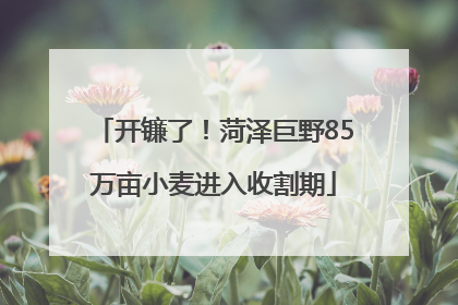 开镰了！菏泽巨野85万亩小麦进入收割期