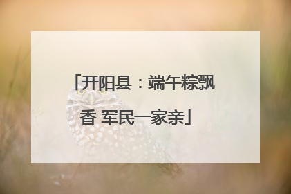 开阳县：端午粽飘香 军民一家亲