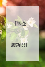 张瑾，履新职