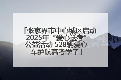 张家界市中心城区启动2025年“爱心送考”公益活动 528辆爱心车护航高考学子