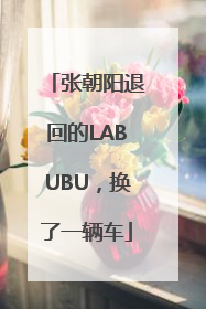 张朝阳退回的LABUBU，换了一辆车