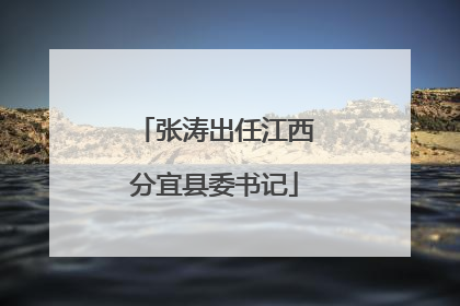 张涛出任江西分宜县委书记