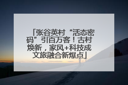 张谷英村“活态密码”引百万客！古村焕新，家风+科技成文旅融合新爆点