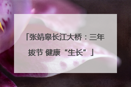 张靖皋长江大桥：三年拔节 健康“生长”
