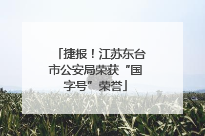 捷报！江苏东台市公安局荣获“国字号”荣誉