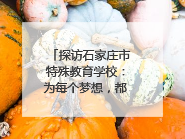 探访石家庄市特殊教育学校：为每个梦想，都插上“翅膀”