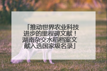 推动世界农业科技进步的里程碑文献！湖南杂交水稻档案文献入选国家级名录