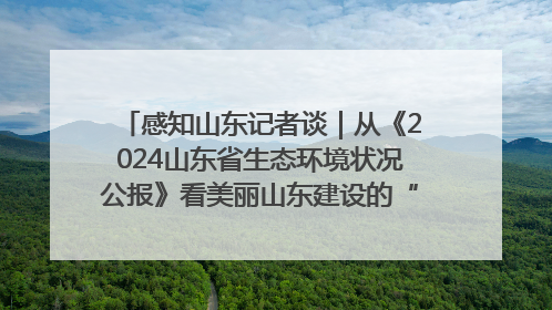 感知山东记者谈｜从《2024山东省生态环境状况公报》看美丽山东建设的“成绩单”与“任务书”