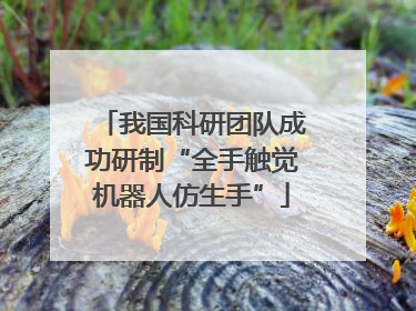 我国科研团队成功研制“全手触觉机器人仿生手”
