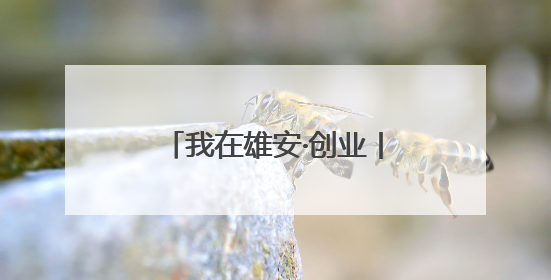 我在雄安·创业丨解锁“未来”，就在“未来之城”