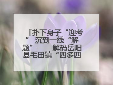 扑下身子“迎考” 沉到一线“解题”——解码岳阳县毛田镇“四多四好”工作法