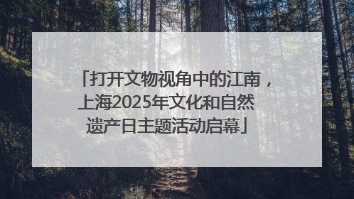 打开文物视角中的江南，上海2025年文化和自然遗产日主题活动启幕