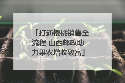 打通樱桃销售全流程 山西邮政助力果农增收致富