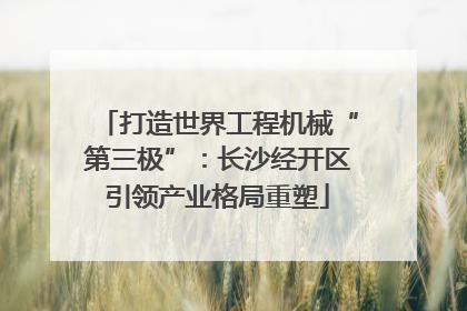 打造世界工程机械“第三极”：长沙经开区引领产业格局重塑