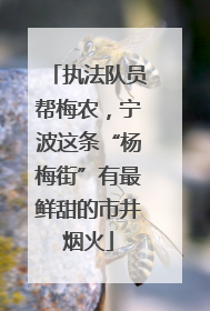 执法队员帮梅农，宁波这条“杨梅街”有最鲜甜的市井烟火