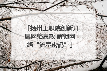 扬州工职院创新开展网络思政 解锁网络“流量密码”
