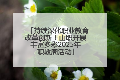 持续深化职业教育改革创新！山职开展丰富多彩2025年职教周活动