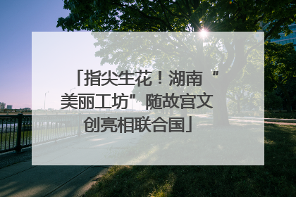 指尖生花！湖南“美丽工坊”随故宫文创亮相联合国