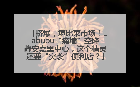 挤爆，堪比菜市场！Labubu“痛墙”空降静安嘉里中心，这个精灵还要“突袭”便利店？