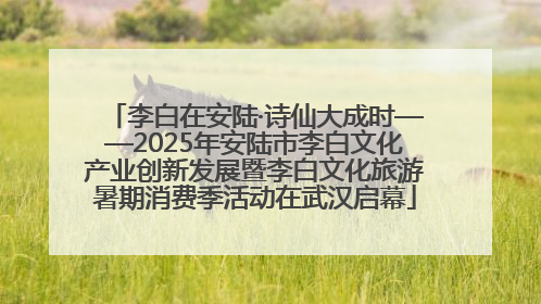 李白在安陆·诗仙大成时——2025年安陆市李白文化产业创新发展暨李白文化旅游暑期消费季活动在武汉启幕