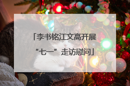 李书铭江文高开展“七一”走访慰问