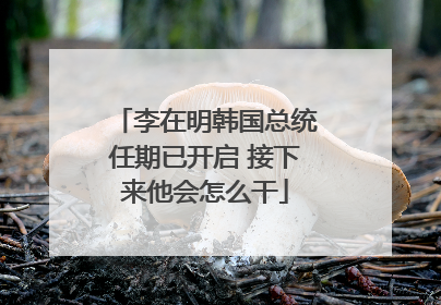 李在明韩国总统任期已开启 接下来他会怎么干