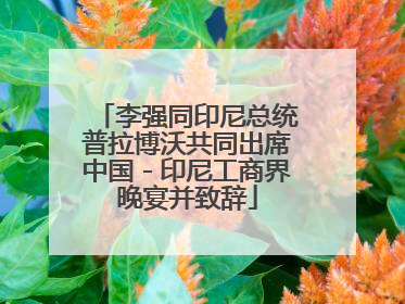 李强同印尼总统普拉博沃共同出席中国－印尼工商界晚宴并致辞