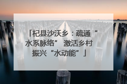杞县沙沃乡：疏通“水系脉络” 激活乡村振兴“水动能”