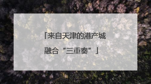 来自天津的港产城融合“三重奏”